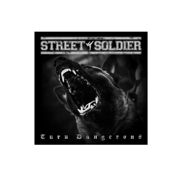 Street Soldier - Turn Dangerous